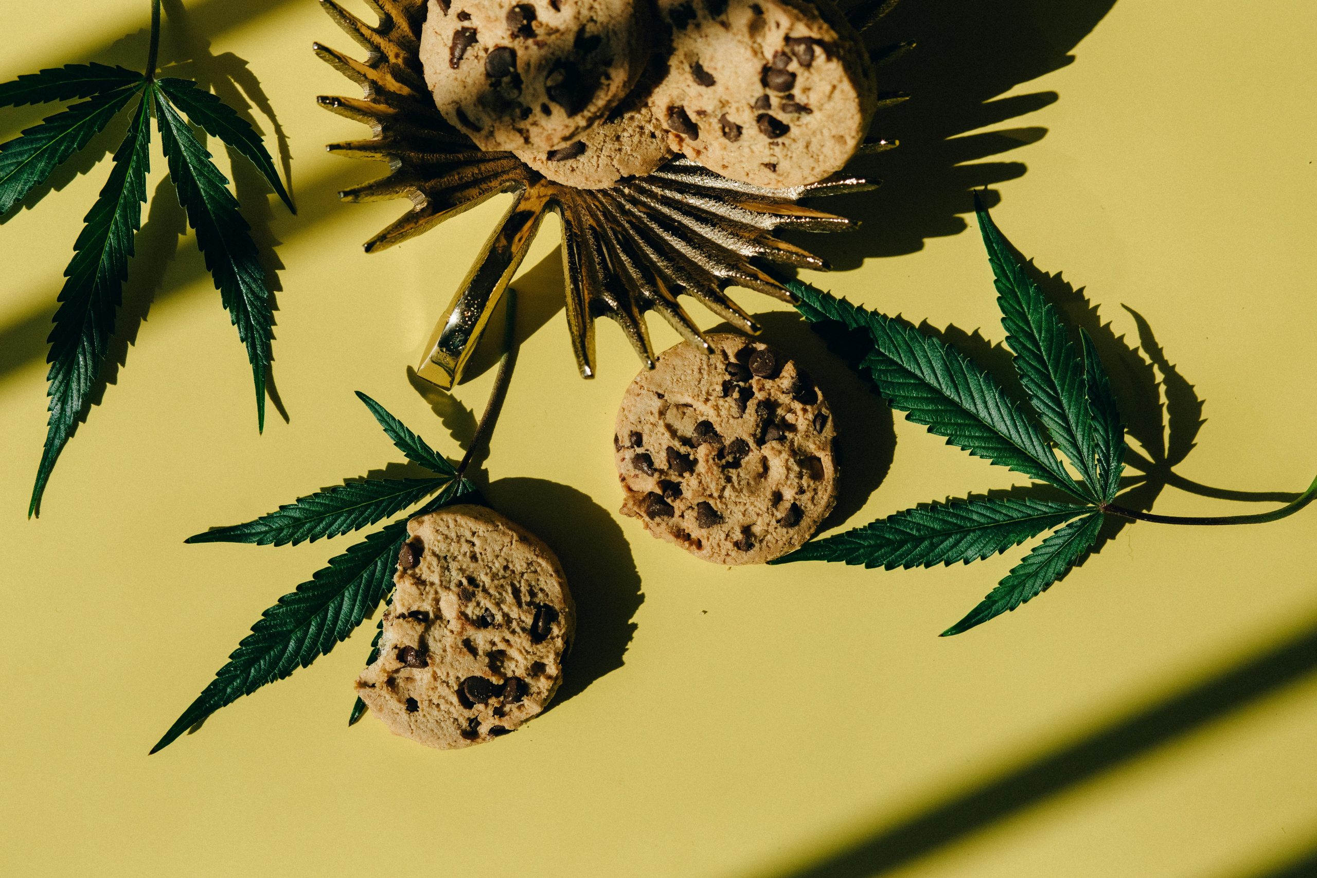 Read more about the article A Beginner’s Guide to Cannabis Edibles