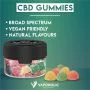 CBD Starter Kit | CBD Calm Variety Pack