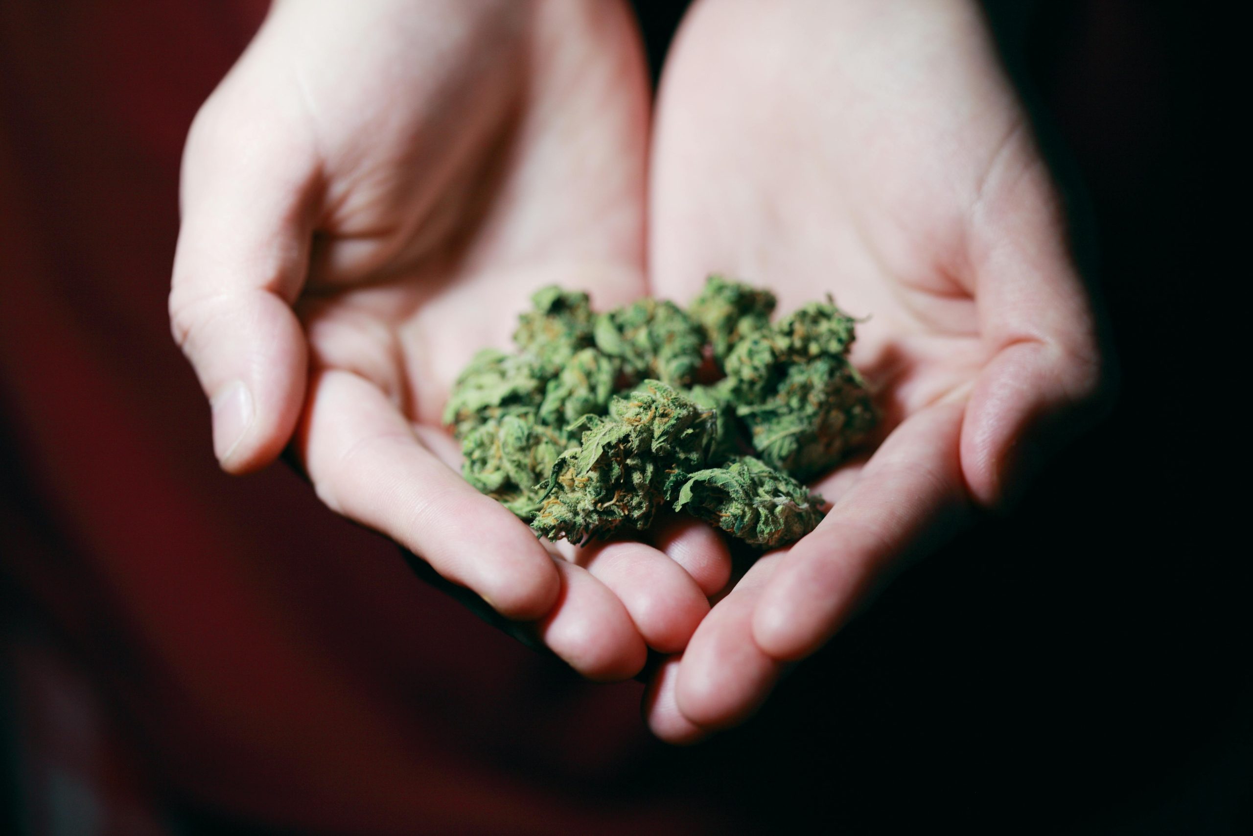 Read more about the article Where to buy weed in Ireland: A Complete Guide